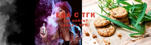 индика Богородицк