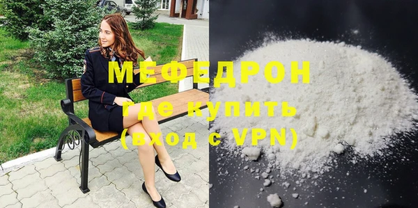 индика Богородицк