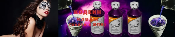 индика Богородицк