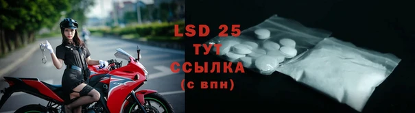 mdpv Богданович