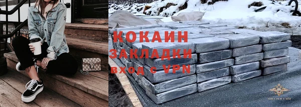 индика Богородицк