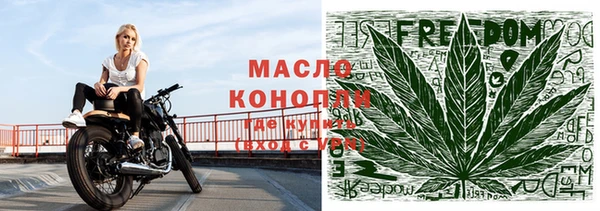 индика Богородицк