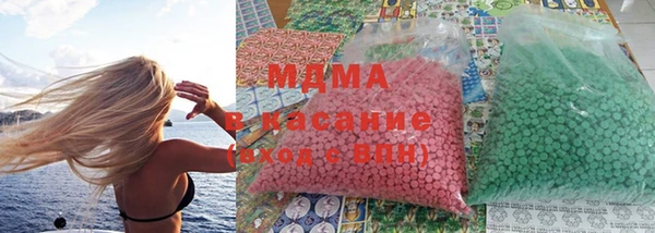 индика Богородицк