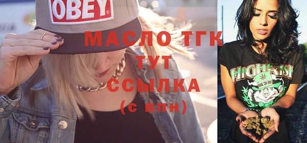 индика Богородицк
