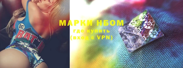 индика Богородицк
